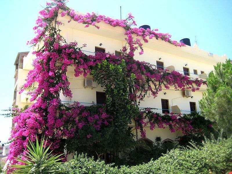 Knossos Hotel カラマキ エクステリア 写真